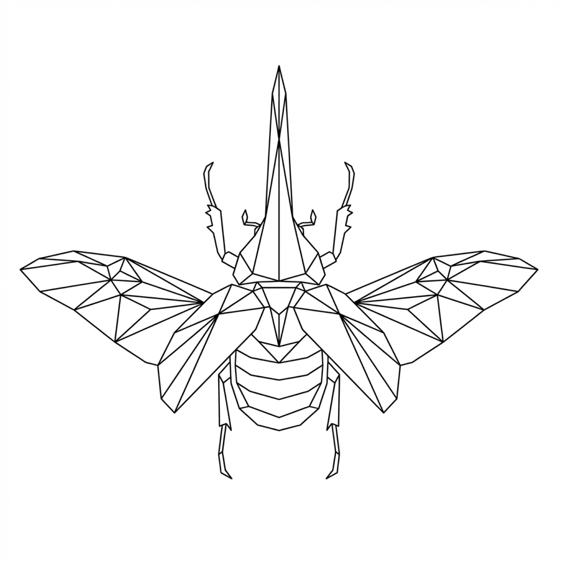 DYNASTES SERIES